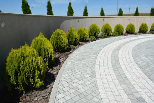 Professional Driveway Pavers in Chetopa, KS